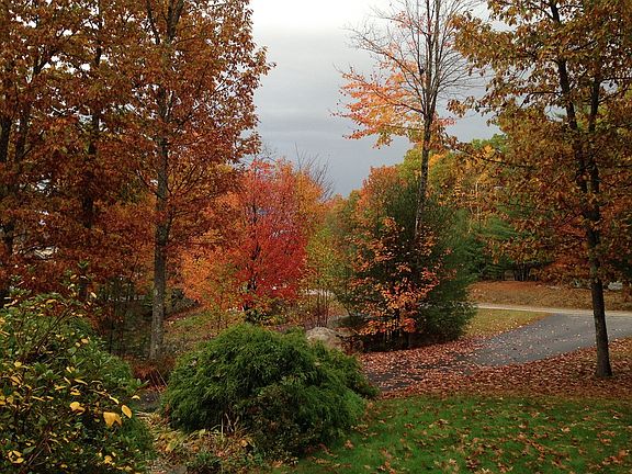View from front step, autumn