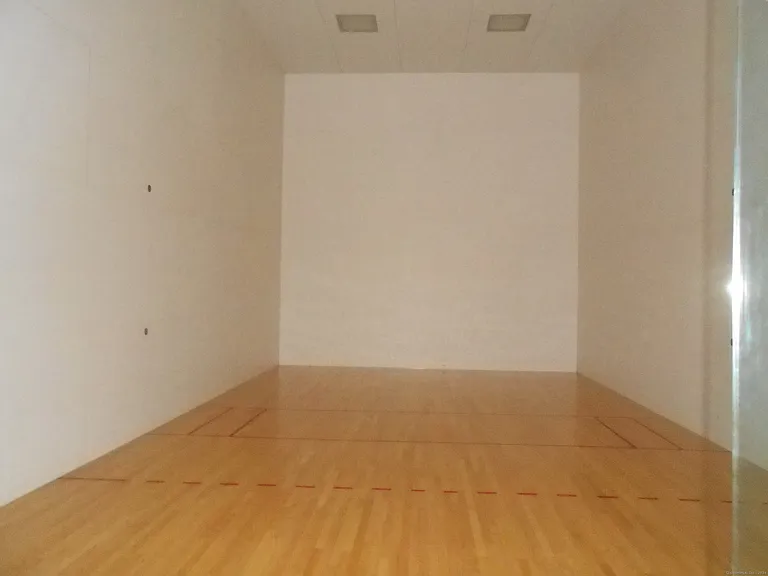 50 Carriage Crossing Ln #50 — Photo 21