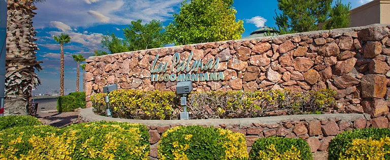 11673 Sugar Bay Way — Photo 27