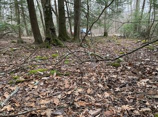 320 Tego Lk, East Stroudsburg, PA 18302