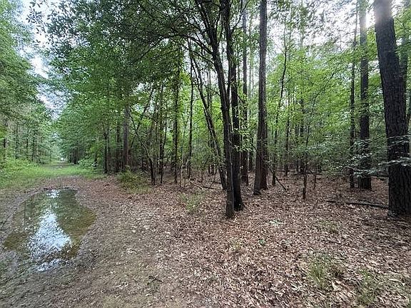2nd image of Airport Rd