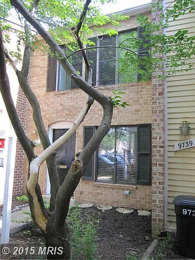 9741 Brassie Way photo 1