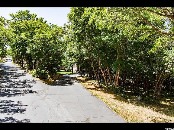 3rd image of 805 S Skylake Dr