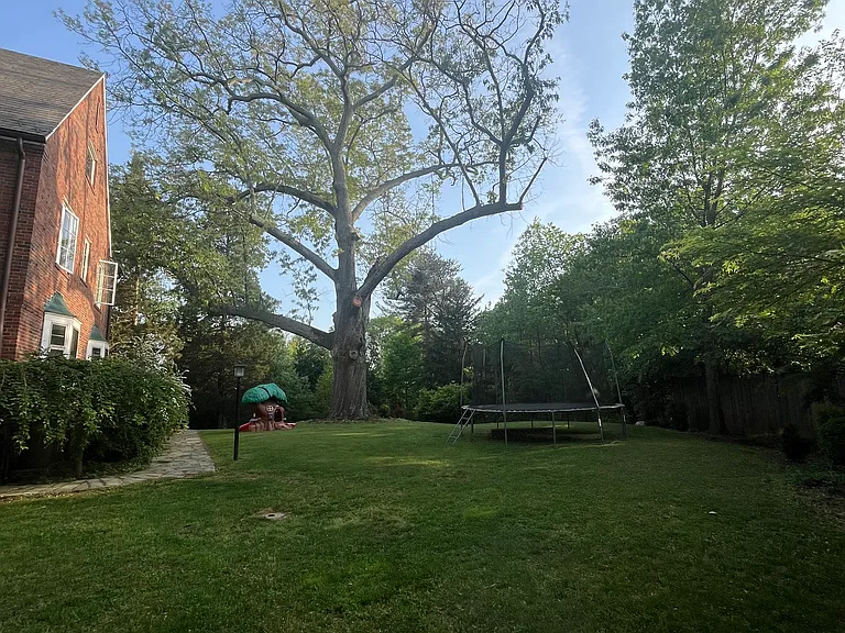 view of one of the 150 yr old oaks and the side yard