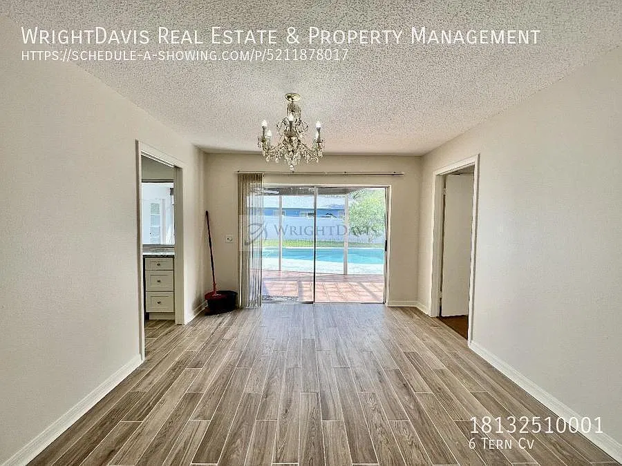 Safety Harbor Pool Home! — Photo 4