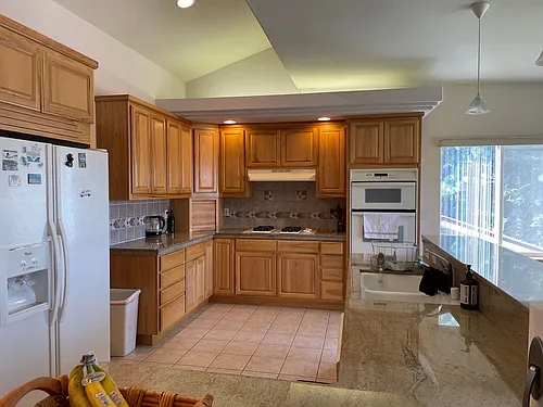 597 Tahoe Island Dr Photo 1