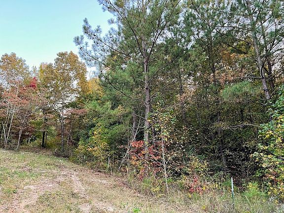 3rd image of 0 Robinson Watts Rd