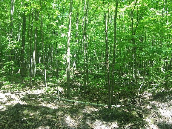 4th image of 4.85 ACRES Joes Rd