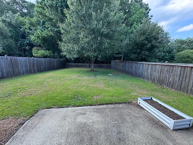 Back yard.