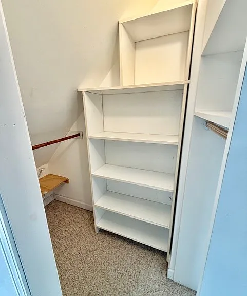 64 Robertson St — Photo 28