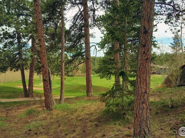 520 Fox Acres Dr W, Red Feather Lakes, CO 80545