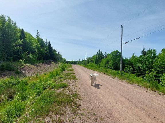 4th image of LOT 22 Highway 4