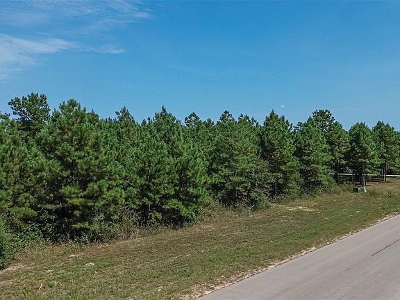 2nd image of 11997 High Branch Way