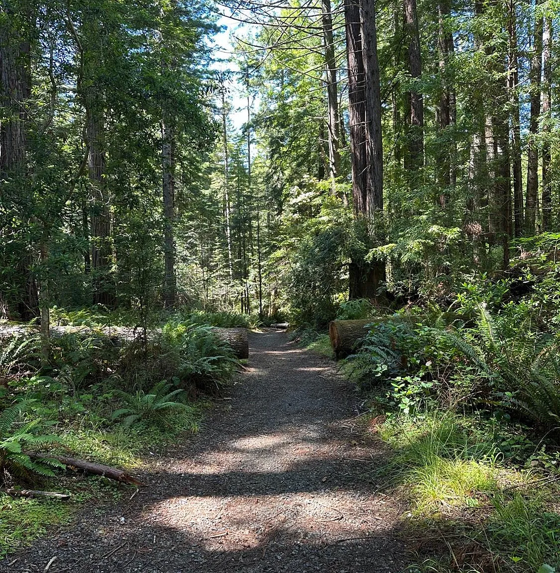 10181 Sorcerer Wood - Photo 3