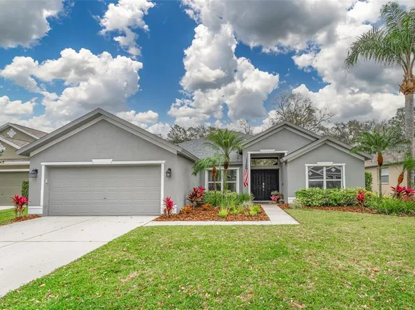 5910 Tealwater Pl, Lithia, FL 33547