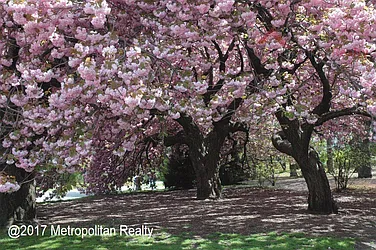 Rented by Metropolitan Realty