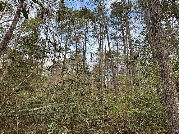 4th image of Neck Rd