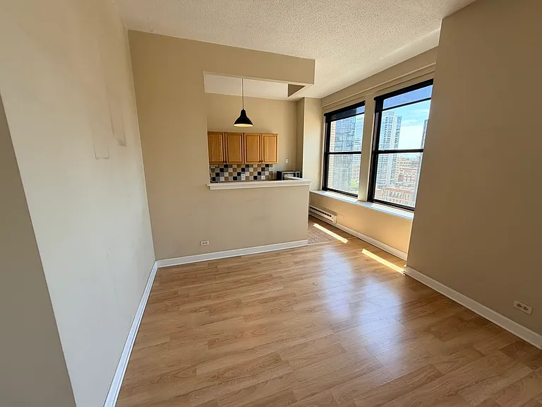 600 S Dearborn St #1303 — Photo 10