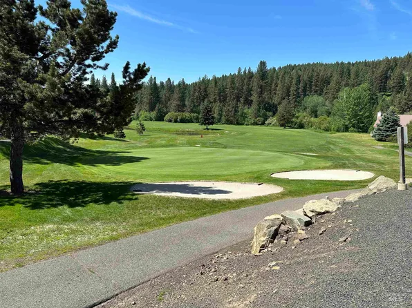 LOT 18 Columbine Dr, New Meadows, ID 83654