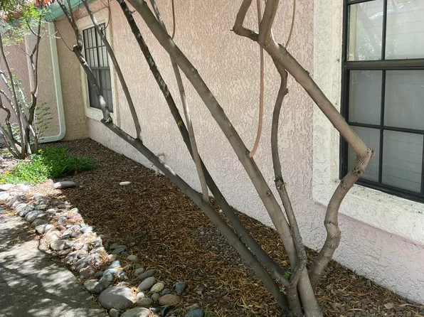 6435 N Tierra De Las Catalinas, Tucson, AZ 85718