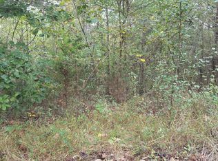 291 Davy Crockett Rd, Limestone, TN 37681