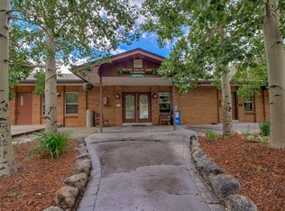 1263 Straight Creek Dr #E101, Dillon, CO 80435