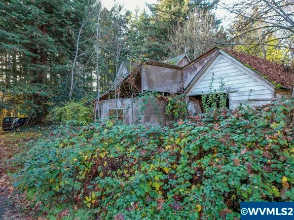 65 Prospect St, Falls City, OR 97344