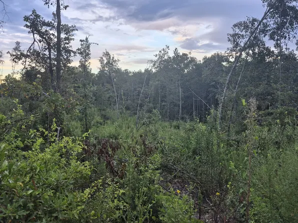 0 Antioch Church Rd, Evergreen, AL 36401