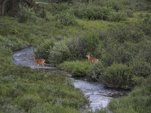 4th image of 4050 Alder Creek Rd