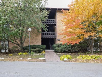 5544 E Lake Dr APT F, Lisle, IL, 60532