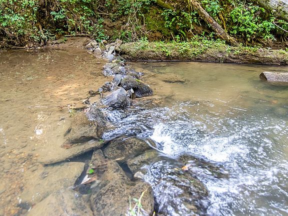 3rd image of 416 Mill Stone Mountain Ln