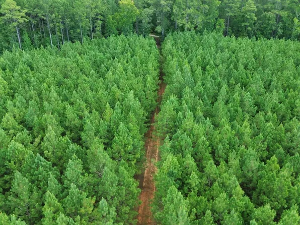 Sunny Hill Rd, Camden, SC 29020