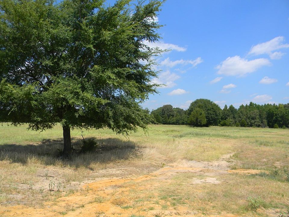 2nd image of 20 Belles Ln