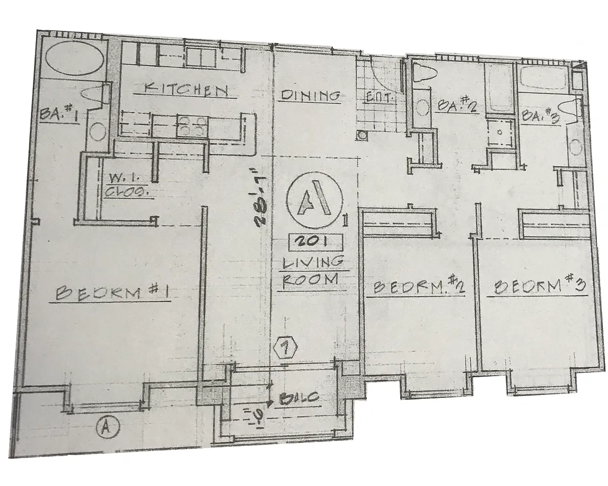 Floor plan 3 Bed + 2 Bath