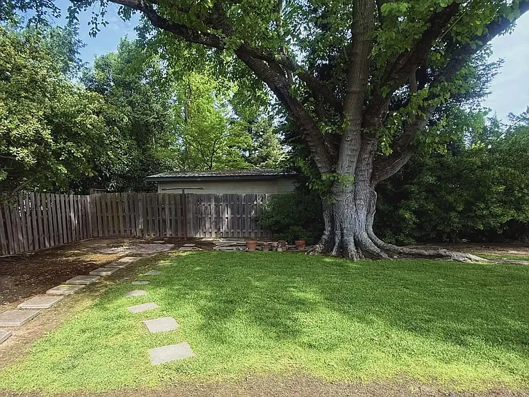 2585 Sierra Blvd — Photo 24