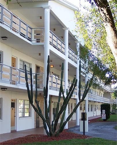 1st image of 911 Washington Ave APT 303