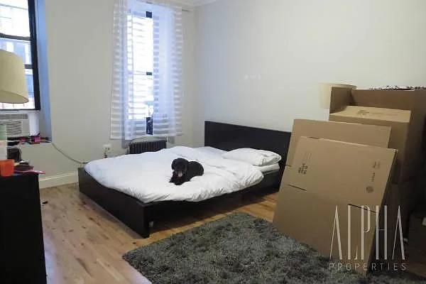 Rented by Alpha Properties NYC I LLC | media 3