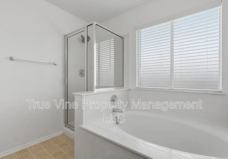 136 Texas Mulberry — Photo 17