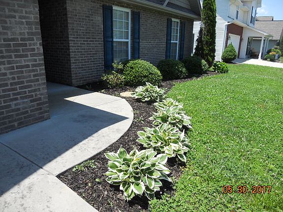 Professional Landscaping