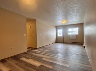 1012 13th St #7, Chetek, WI 54728