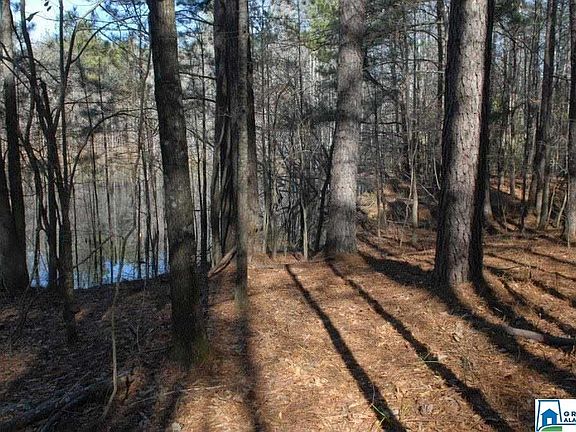 3rd image of 1076 Highway 36 Lot 1