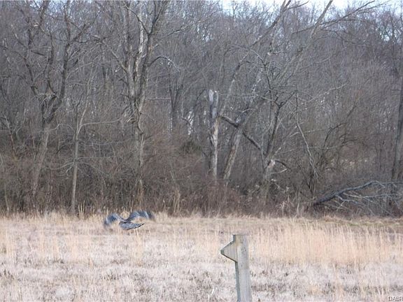 4th image of 7936 Carter Dr