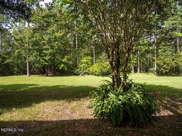 313 Scrub Jay Dr — Photo 43