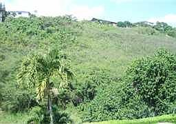 2nd image of 99-699 Kahilinai Pl #4A