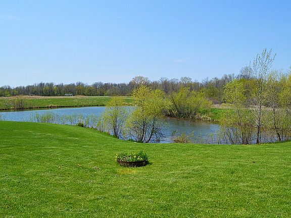Pond and fire pit