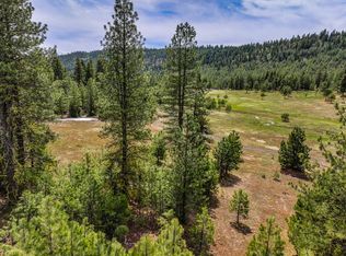5601 Lupine Ln, McCall, ID 83638