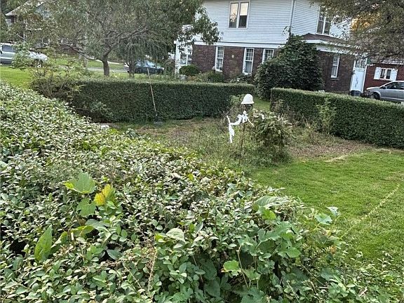 4th image of 217 Dunn Blvd