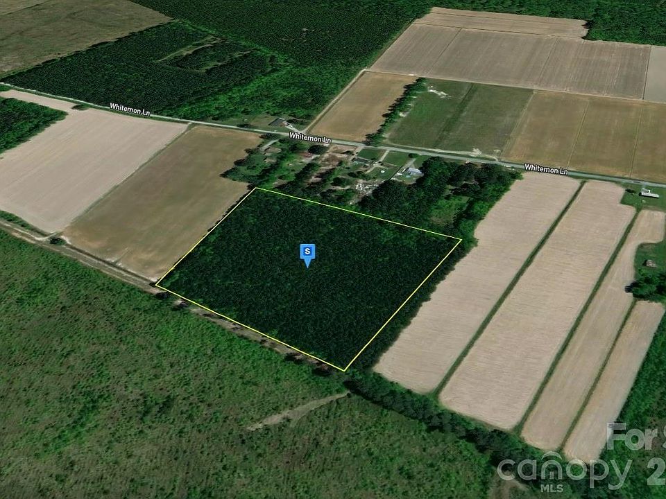 2nd image of 301 Whitemon Ln