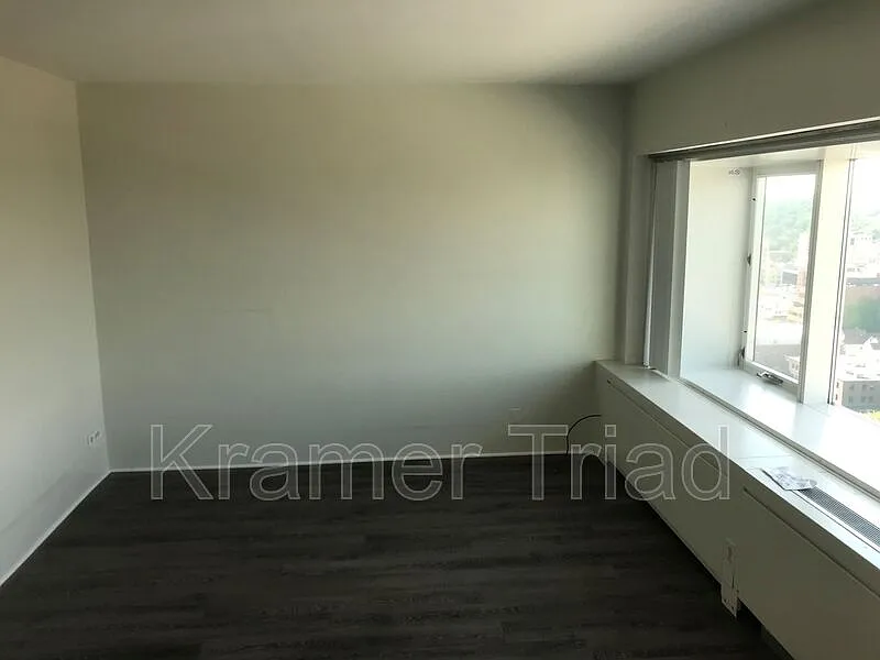 Studio, 1.0 bath, 392 sqft, $1,700 — Photo 4