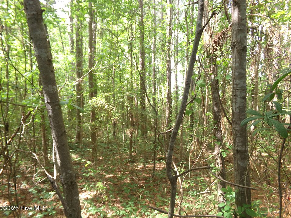 2nd image of 0 Pages Lake Road